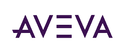 Formation AVEVA™ P&ID